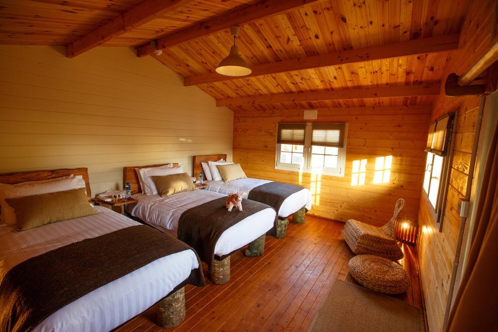 Giltraps Townhouse & Glamping Hotel Kinnitty Bilik gambar